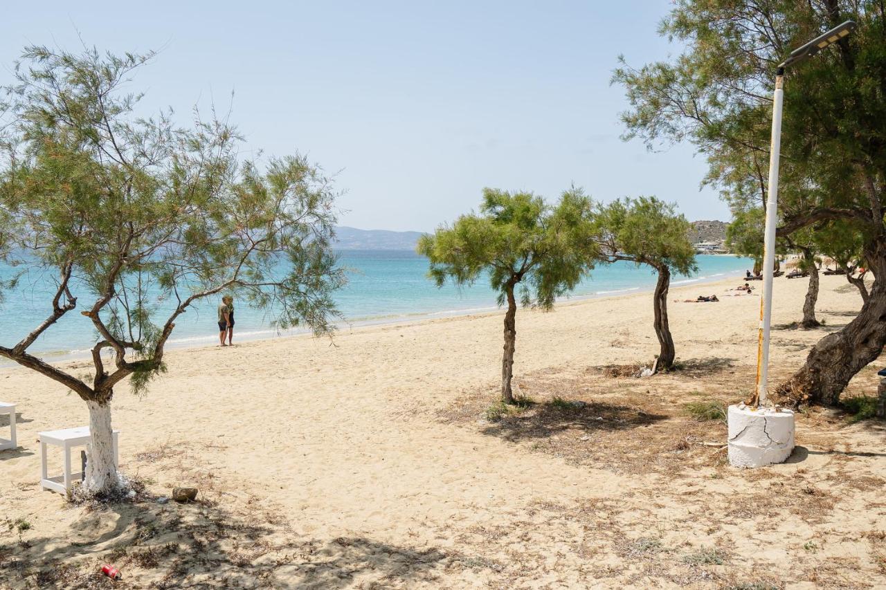 Flerianos Studios Agios Prokopios (Naxos) Exterior foto